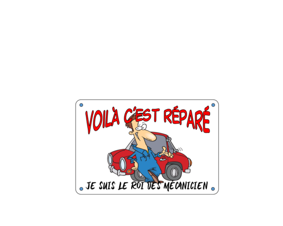 ROI MÉCANICIEN