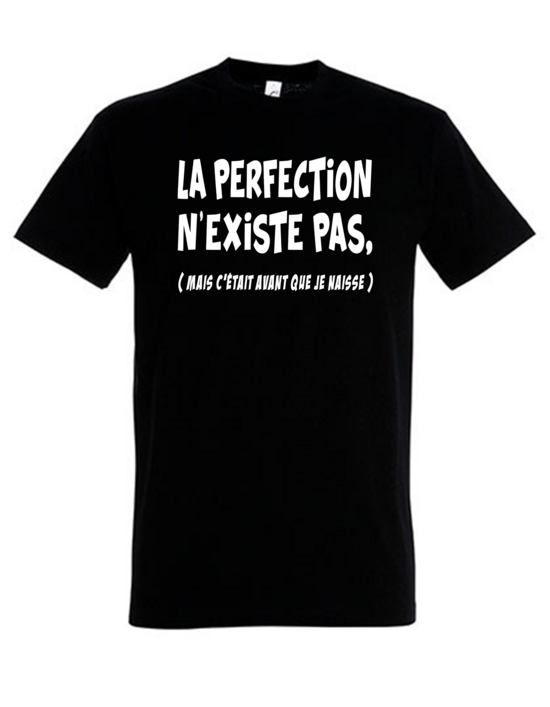 LA PERFECTION N'EXISTE PAS