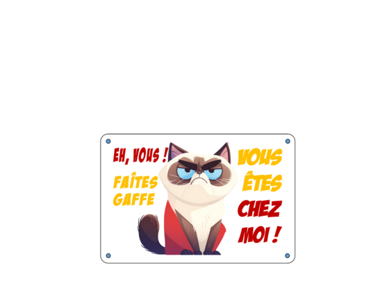 EH VOUS! CHAT