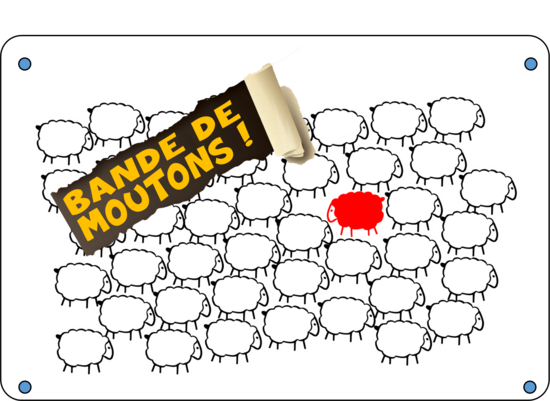 BANDE DE MOUTONS