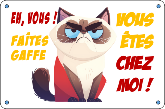 CHAT FAITES GAFFE
