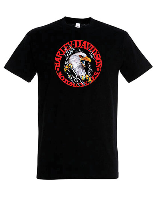 HARLEY AIGLE