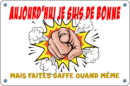 JE SUIS DE BONNE