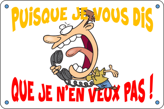 PUISQUE JE VOUS DIS
