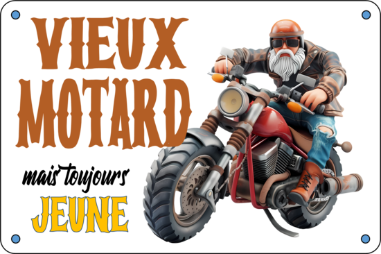 VIEUX MOTARD